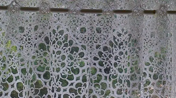 A close-up view of an intricate white lace curtain hanging in front of a window. The lace pattern is composed of various circular and floral designs, with a green, leafy background visible through the gaps in the lace.