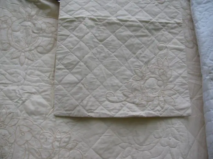 Close-up of the Ivory Pearl Braid Quilt, featuring beige quilted fabric with intricate floral embroidery. Spiral and leaf motifs create an elegant, textured appearance. A folded sham in the center highlights these details, emphasized by the scallop piping edge.