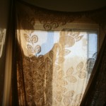 Peacock Lace hand-loom cotton curtain panel ecru