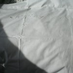 Pure White Cotton hand hemstitched Oxford case and bed pillow.