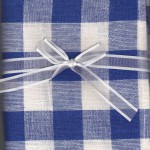 Gingham Blue check napkins- set of 4
