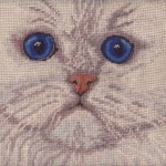 Needlepoint White true Persian Doll-faced Cat cushion cover closeup.