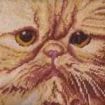 Petit point & Gros point Woolen Tapestry Red Peke-faced Persian cat closeup 