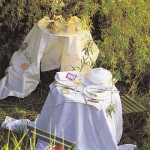 To create a special afternoon tea in the garden, simply drape tablecloth on the grass and drink from china or porcelain cups.